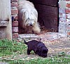 100_5595.jpg